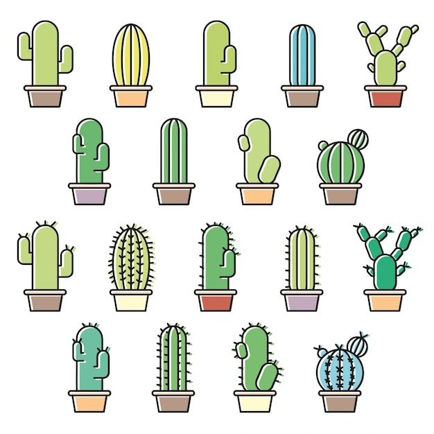 Vibrant Cactus and Succulent Illustration Collection | Jiffy Designs