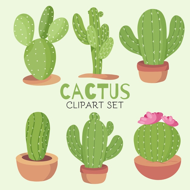 Vibrant Cactus Collection: Diverse Potted Succulents for Versatile ...