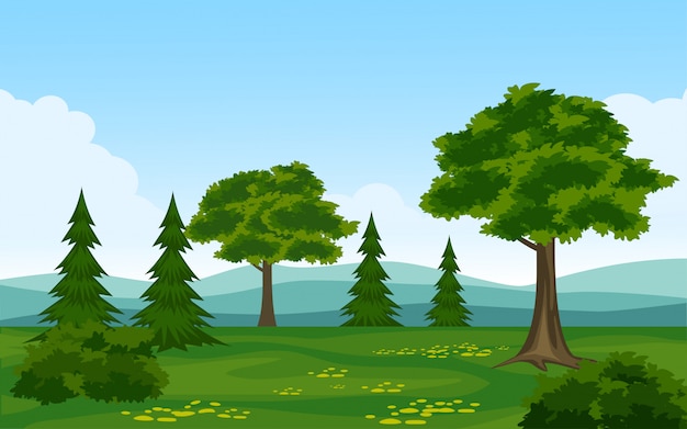 Lush Green Forest Landscape with Towering Trees | Jiffy Designs