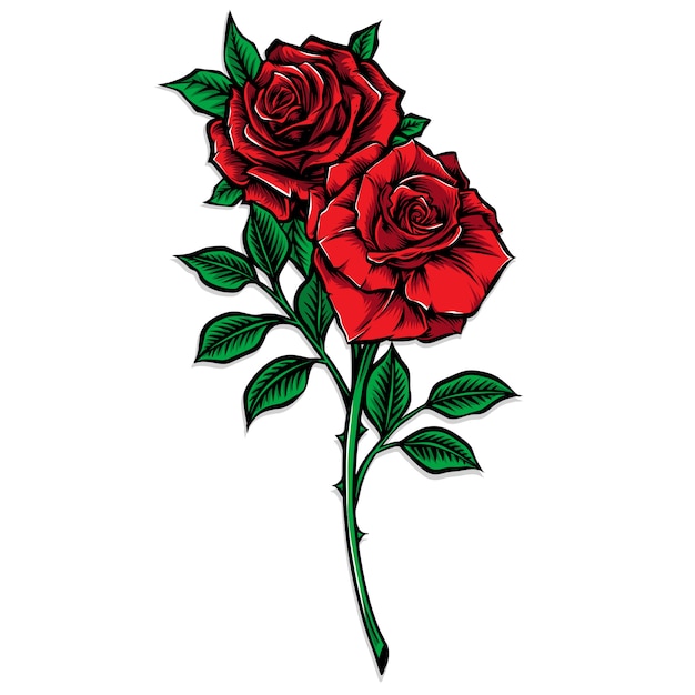 Vibrant Red Roses in Bloom, Bursting with Color | Jiffy Designs