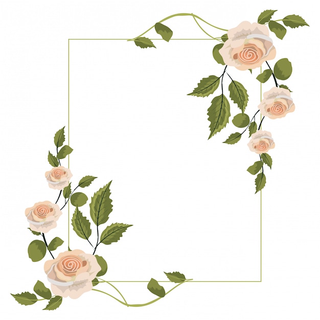 Delicate Floral Frame with Soft Pink Roses | Jiffy Designs