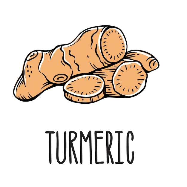Vibrant Turmeric Root Illustration with Handwritten Text | Jiffy Designs