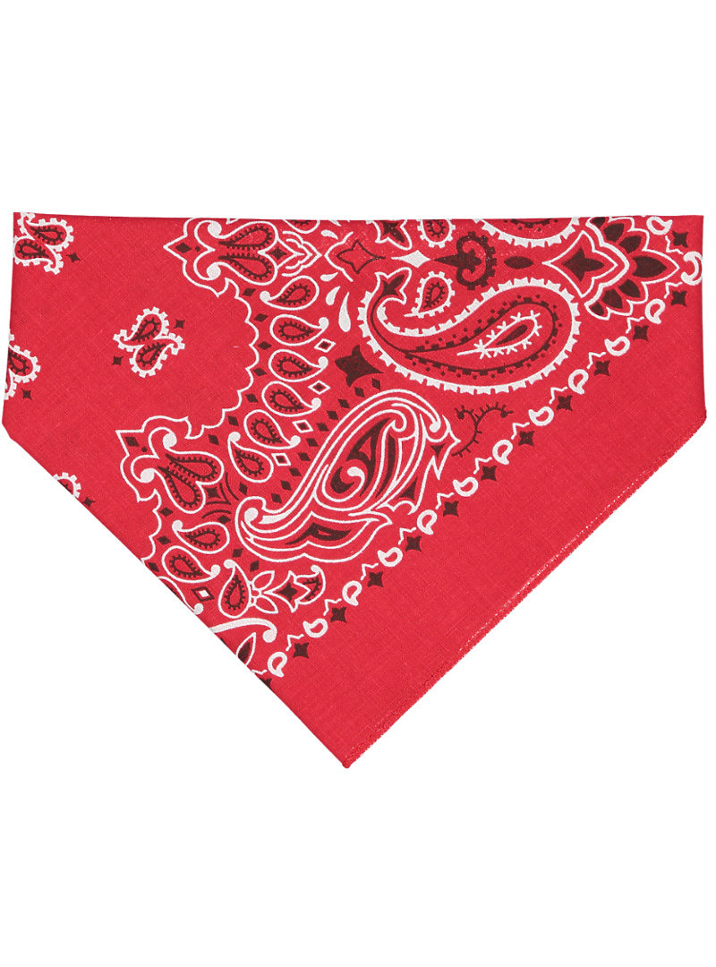 Doggie Skins 3905 Red Paisley