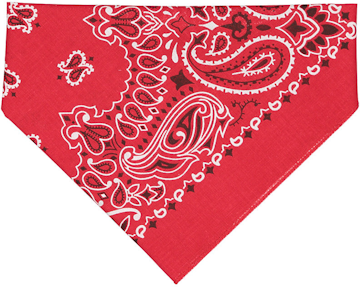 Doggie Skins 3905 Red Paisley