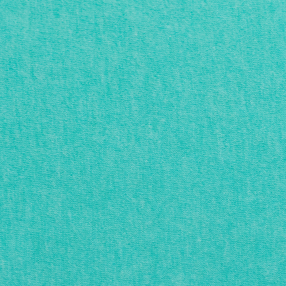 Hanes 42TB Brzy Green Triblend