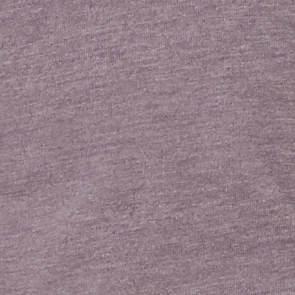 Bella + Canvas 3001CVC Heather Purple