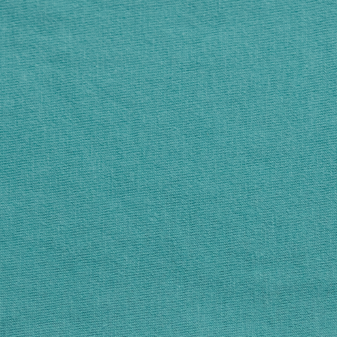 ComfortWash by Hanes GDH150 Spanish Moss