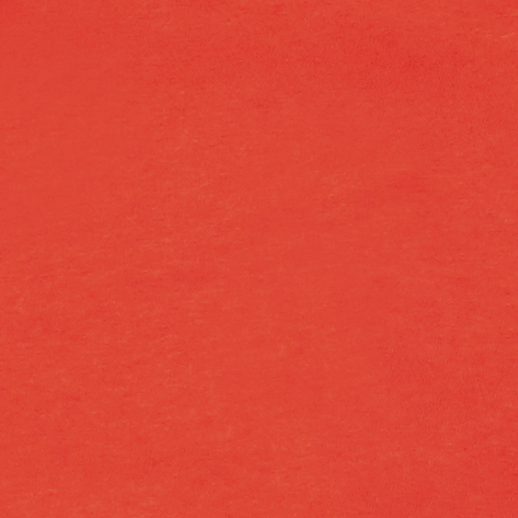 Bella + Canvas 3001C Poppy