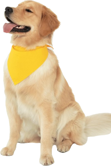 Doggie Skins 3905 Yellow