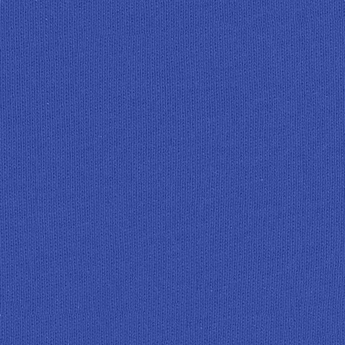 Bella + Canvas B8801 True Royal