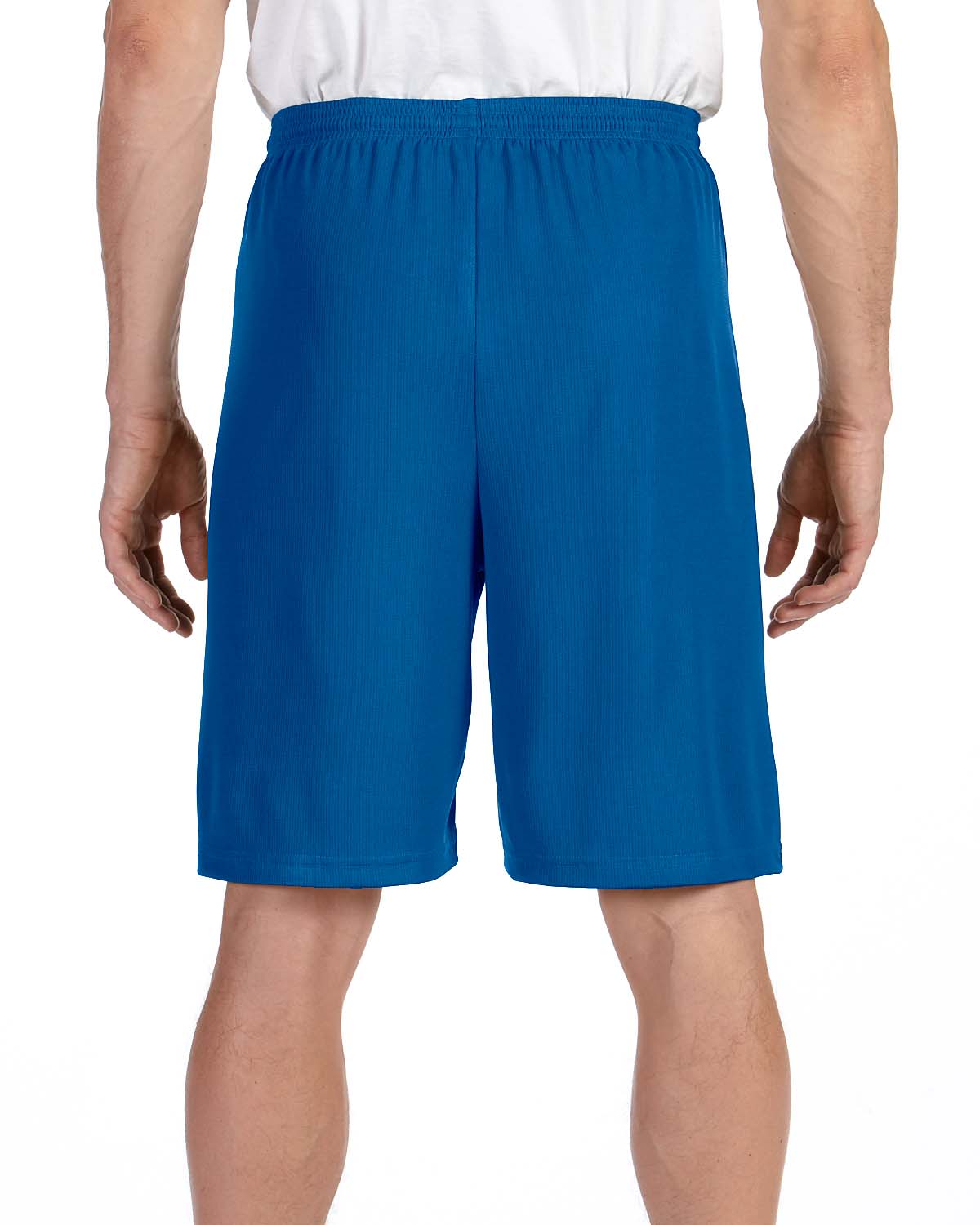 All Sport M6707 Sport Royal