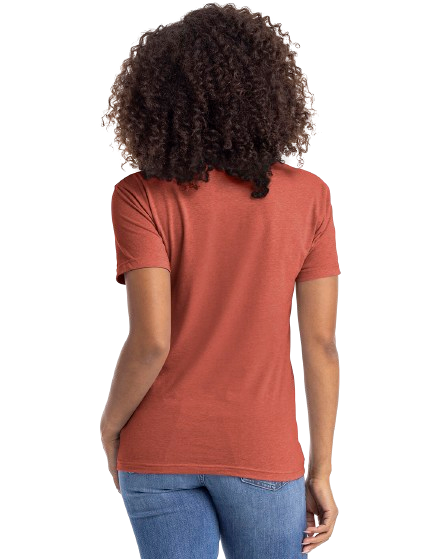 Next Level N6210 Heather Redwood