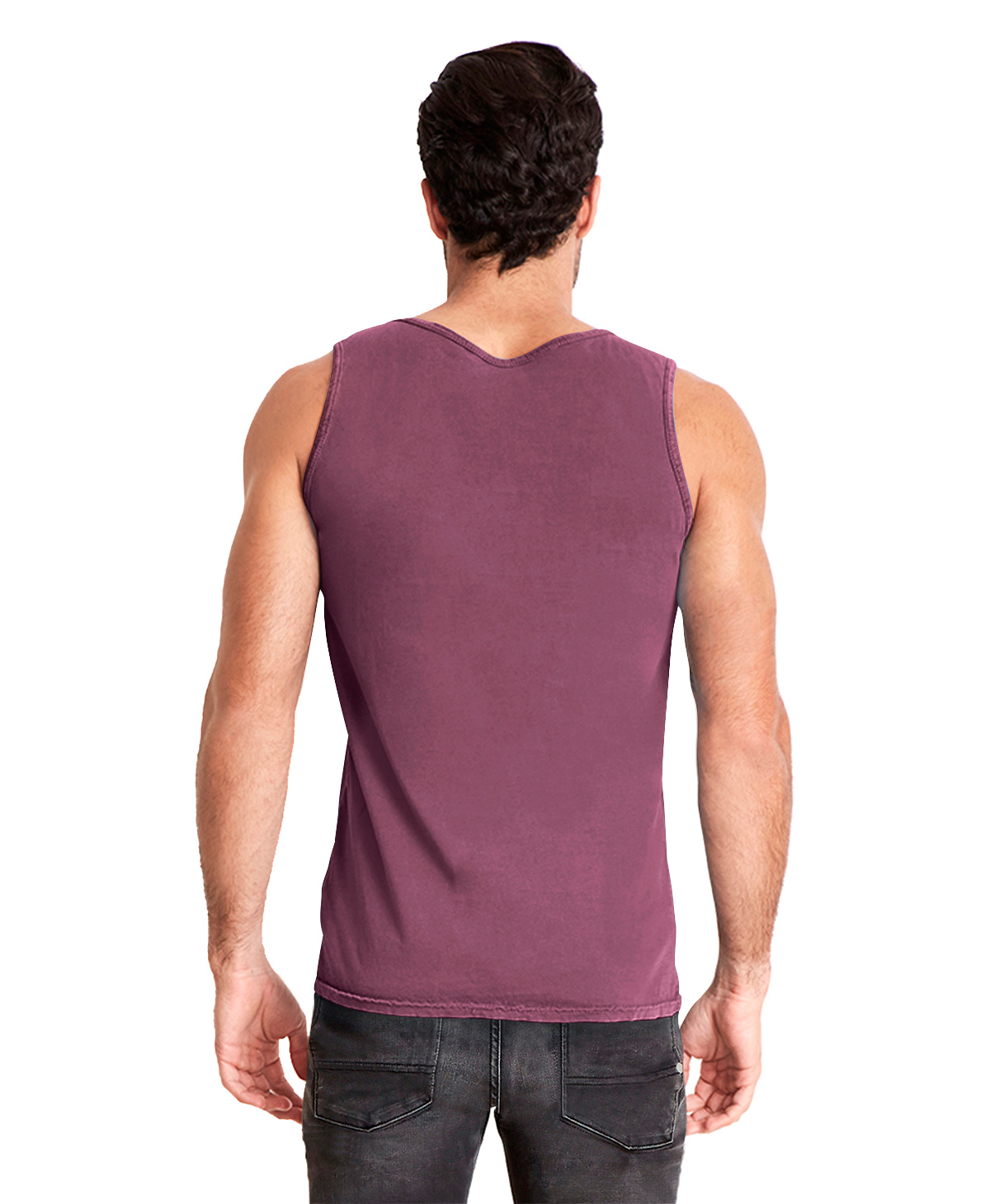 Next Level 7433 Shiraz