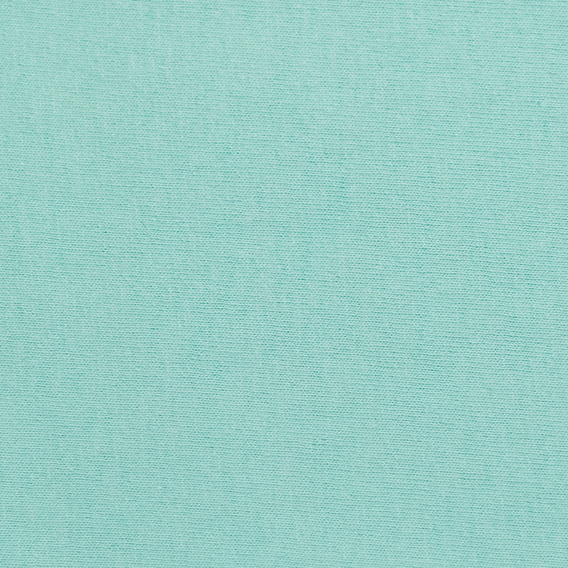 Hanes 5280 Clean Mint