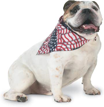 Doggie Skins 3905 Flag Print