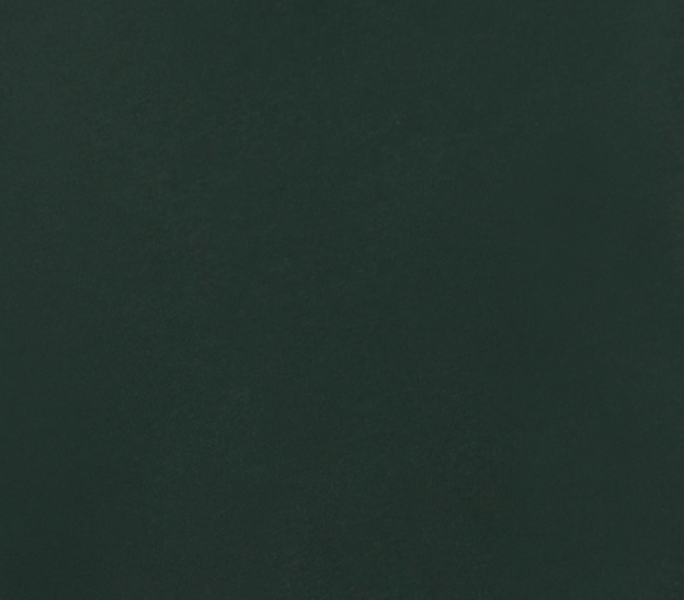 Alternative 8804PF Varsity Green