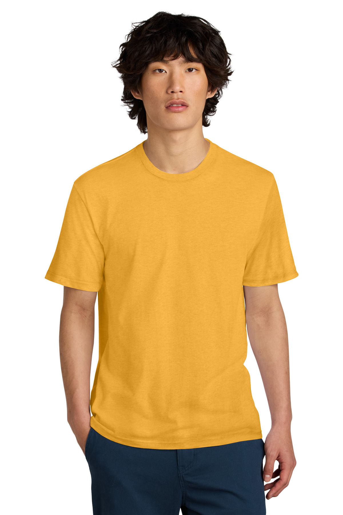 District DT104 WarmGold