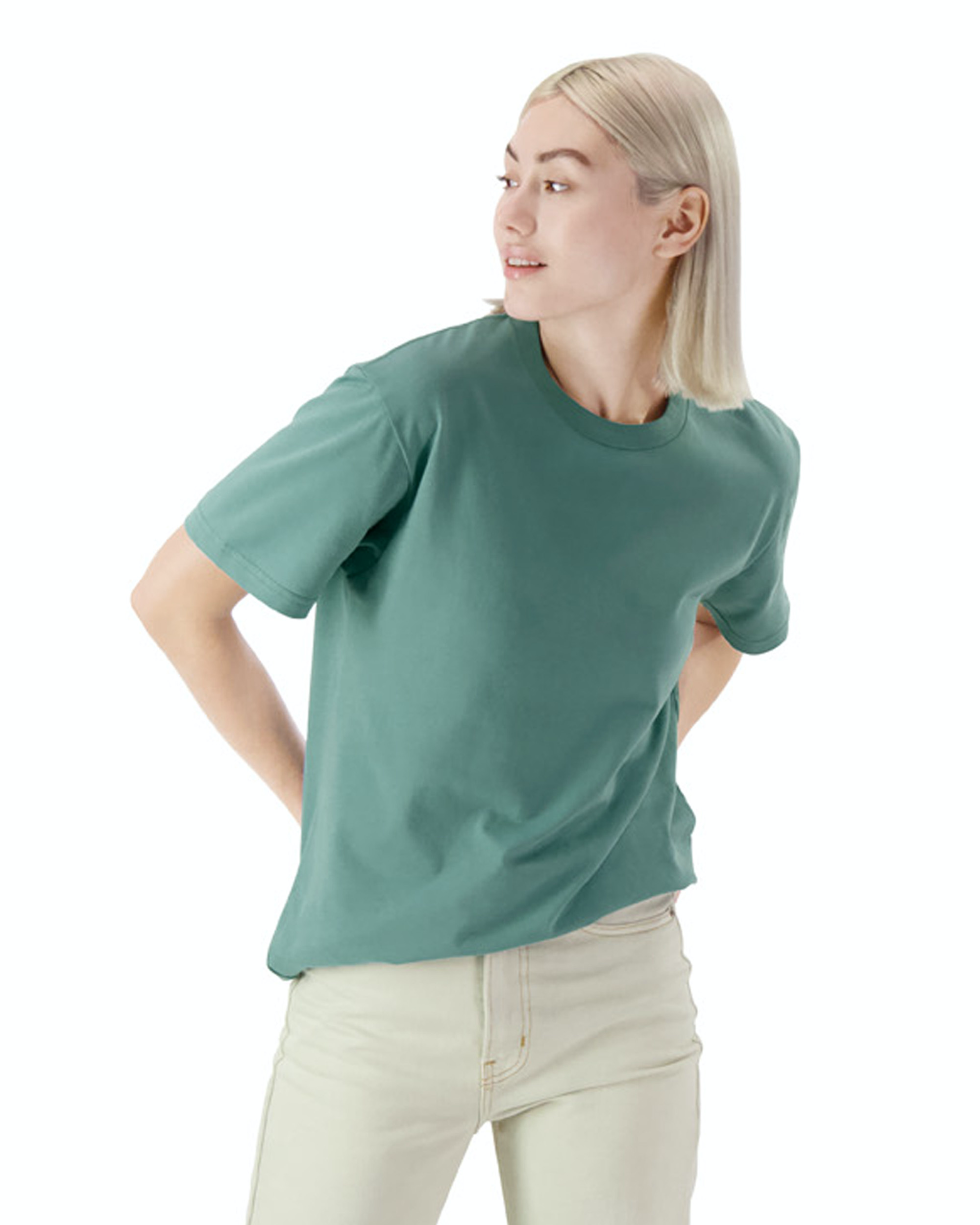American Apparel 5389 Sueded Arctic