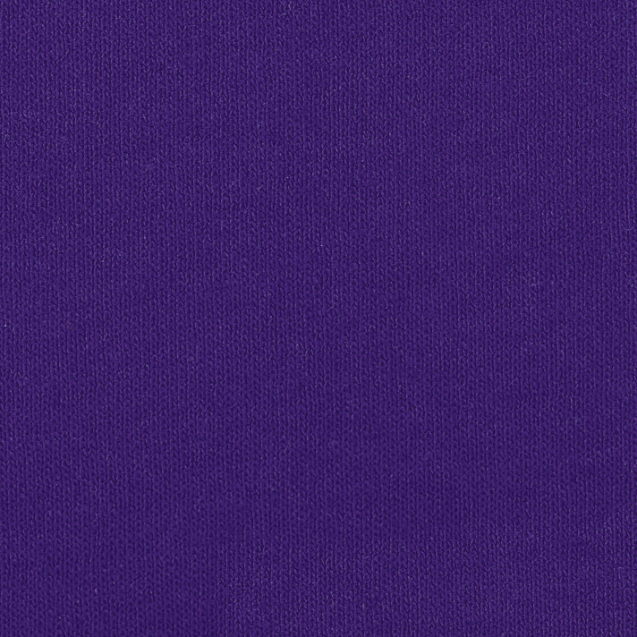 Bella + Canvas B6008 Team Purple